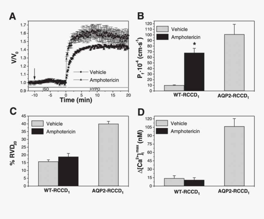 Diagram, HD Png Download