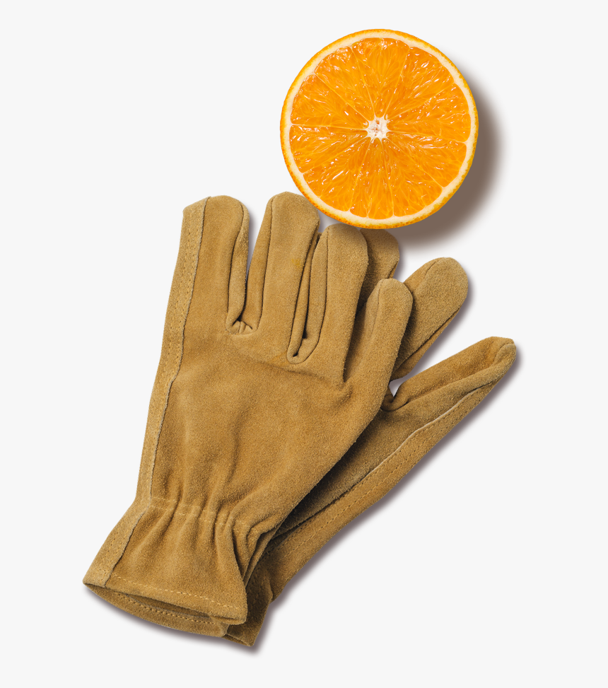 Orange, HD Png Download