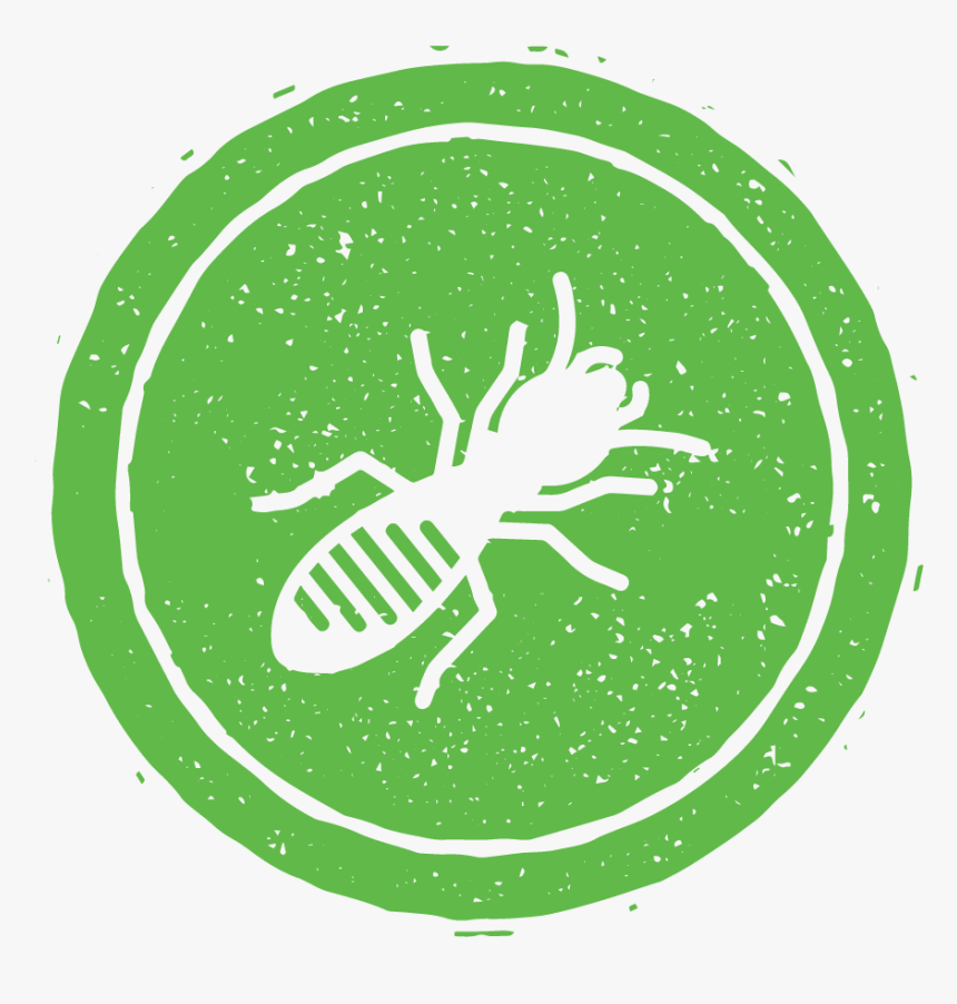 Termite Control And Pest Control In Nashville, Tn, - Illustration, HD Png Download