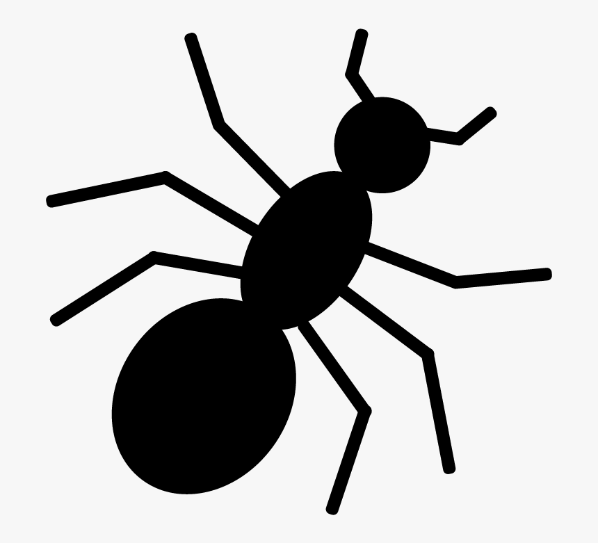 Tangle-web Spider, HD Png Download