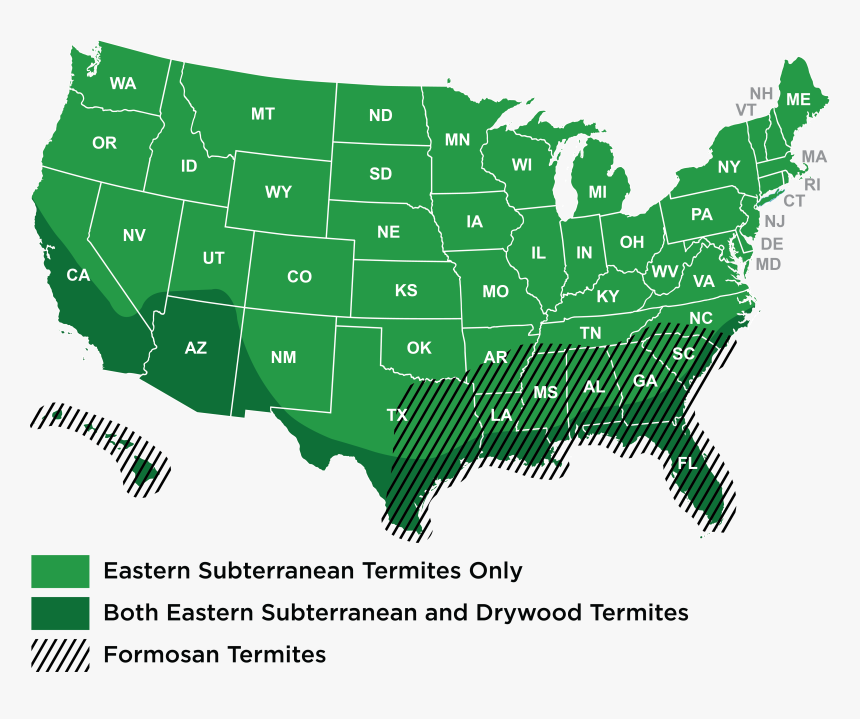 Trump Vs Hillary States Won, HD Png Download