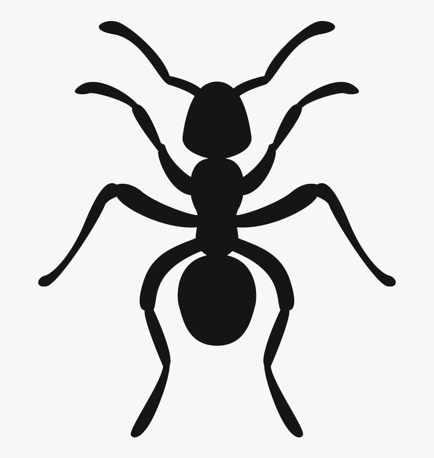 Icon3 - Ant, HD Png Download