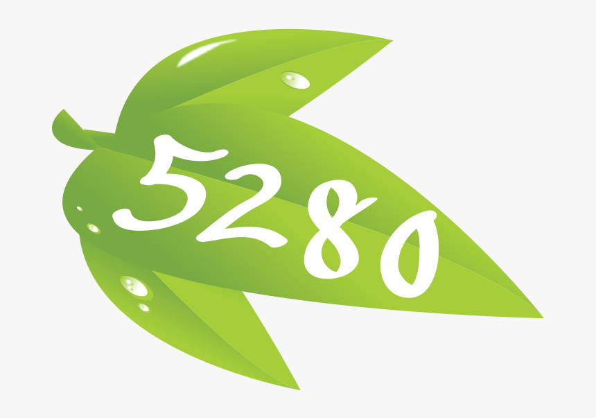 Graphic Design, HD Png Download