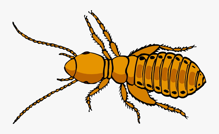 Clip Art, HD Png Download