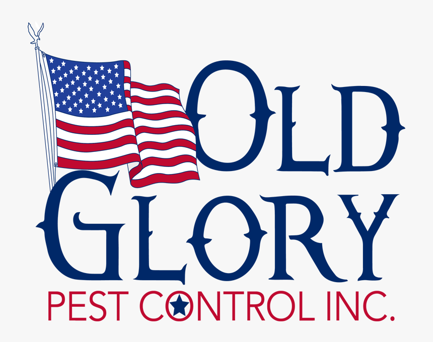 Square-logo Fb - American Accessories, HD Png Download