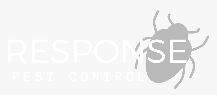Response Pest Control Logo Graphic Designer Resume Hd Png Download Transparent Png Image Pngitem