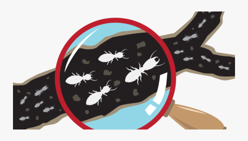 Sea Turtle, HD Png Download