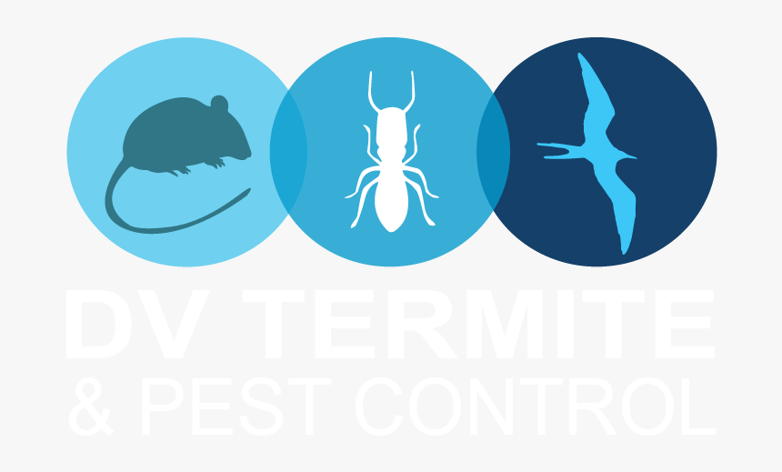Diamond Valley Termite And Pest Control - Illustration, HD Png Download
