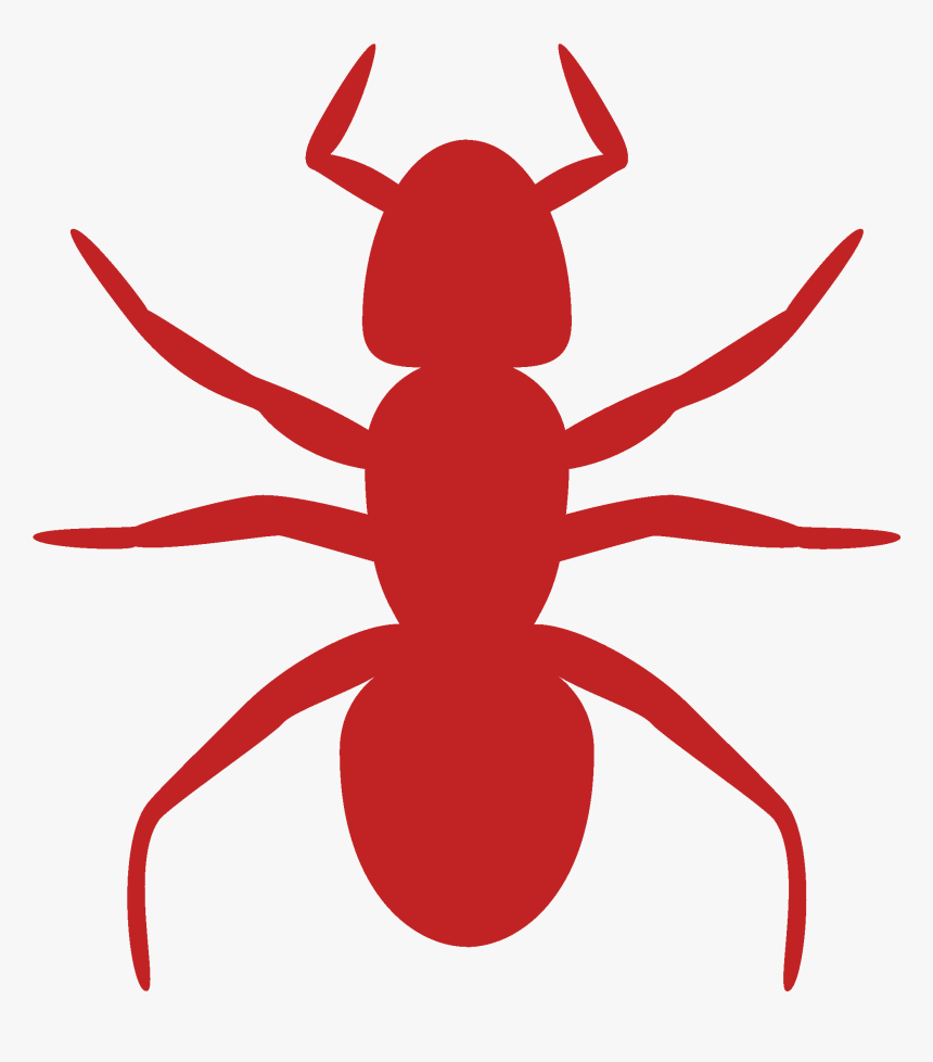 Ant Clip Art, HD Png Download
