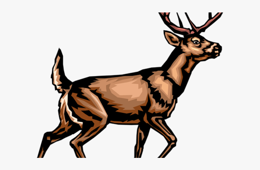 Deer Clip Art, HD Png Download