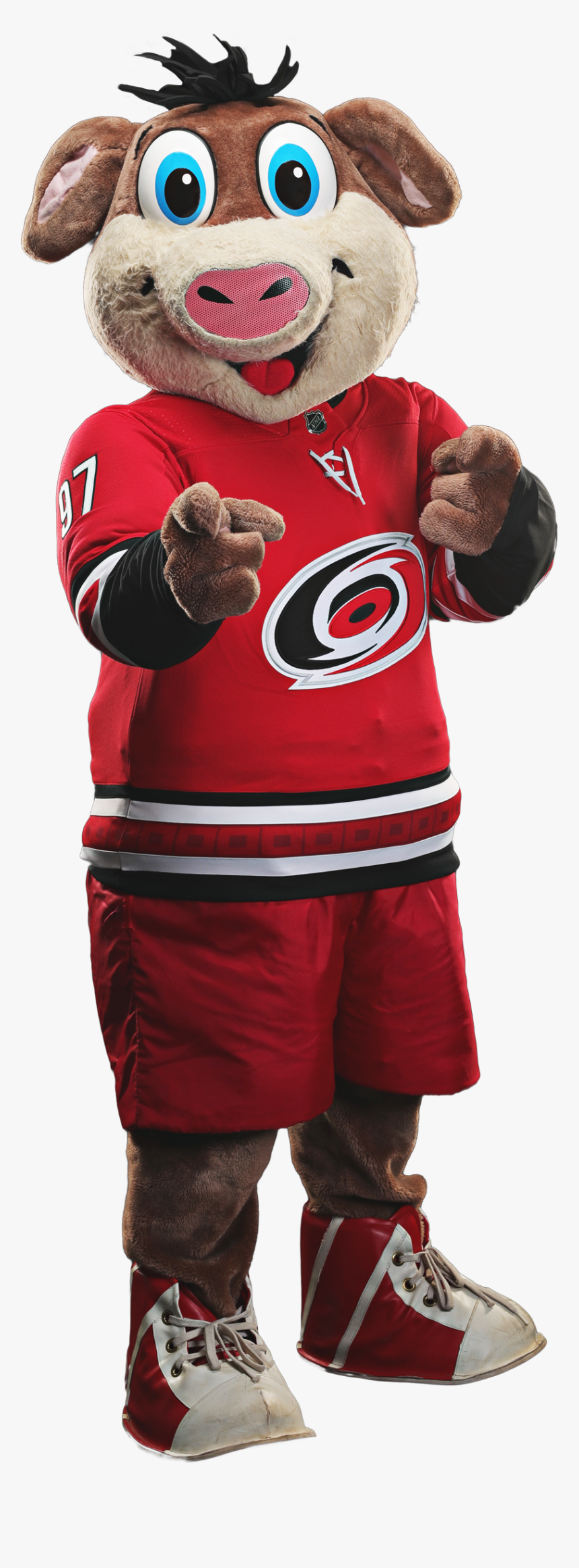 Carolina Hurricanes, HD Png Download