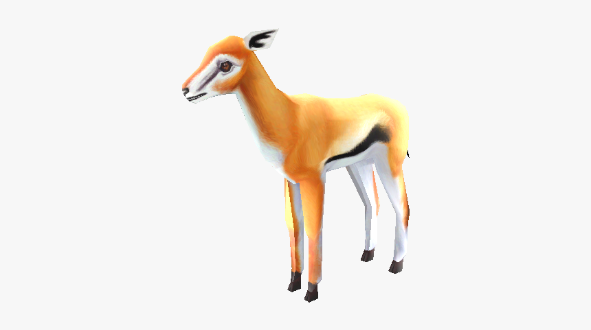 Download Zip Archive - Thomson's Gazelle, HD Png Download
