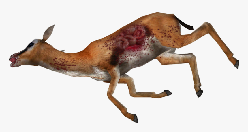 Dead Gazelle Png, Transparent Png