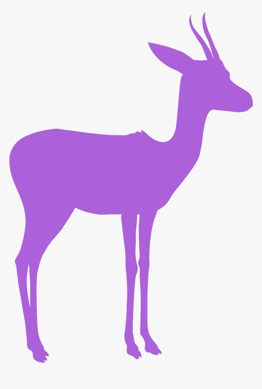 Silueta De Gacela Png, Transparent Png