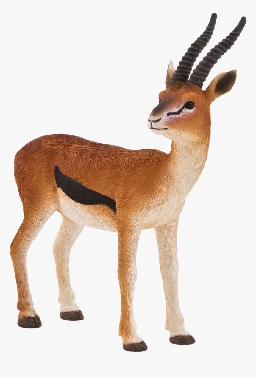 Mojo Thomson Gazelle Png Mojo Thomsons Gazelle Fun - Gazelle Toy, Transparent Png
