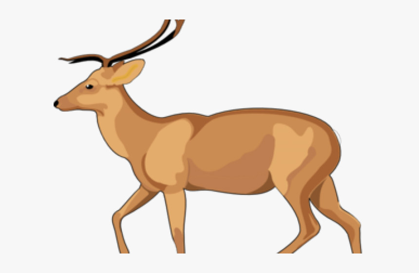 Gazelle Clipart Transparent - Debden Park High School, HD Png Download