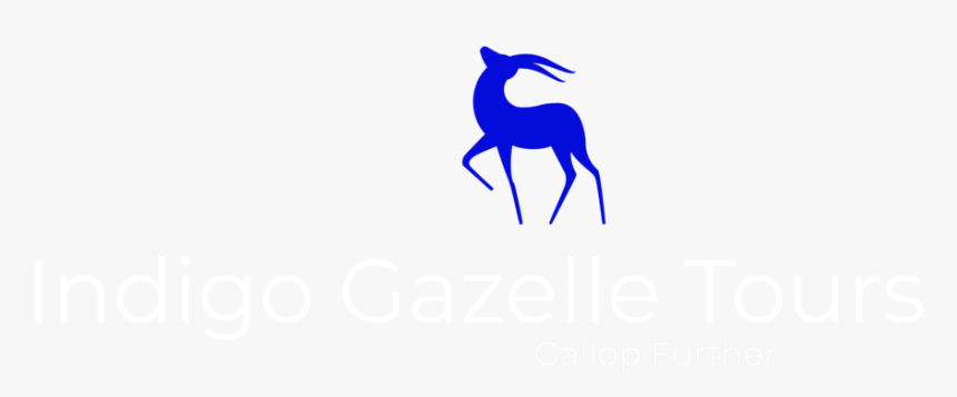 Gazelle Png, Transparent Png