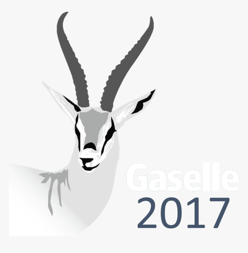 Gazelle - Gaselle 2014, HD Png Download