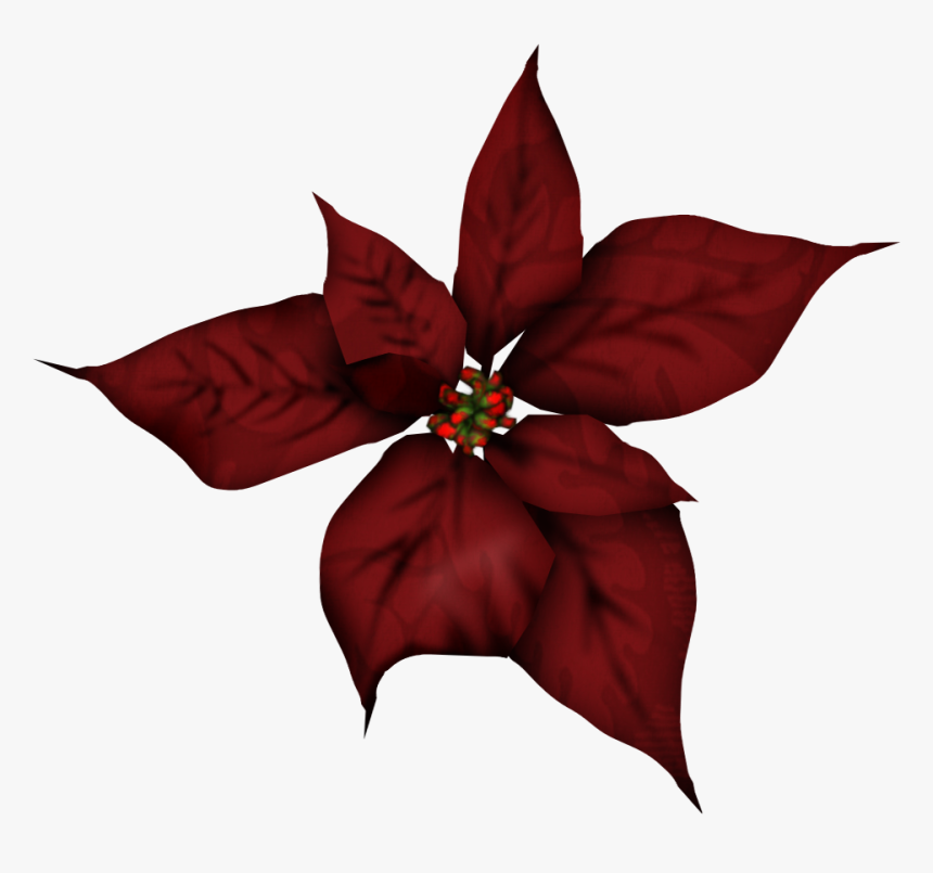 Wbbt Dec2018 Songbird Element 18 - Poinsettia Png Yellow, Transparent Png