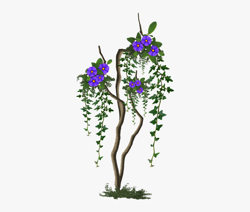 Image Cropped, Tree With Flowers, Tree, Flowers Lilac - Rosa Glauca, HD Png Download