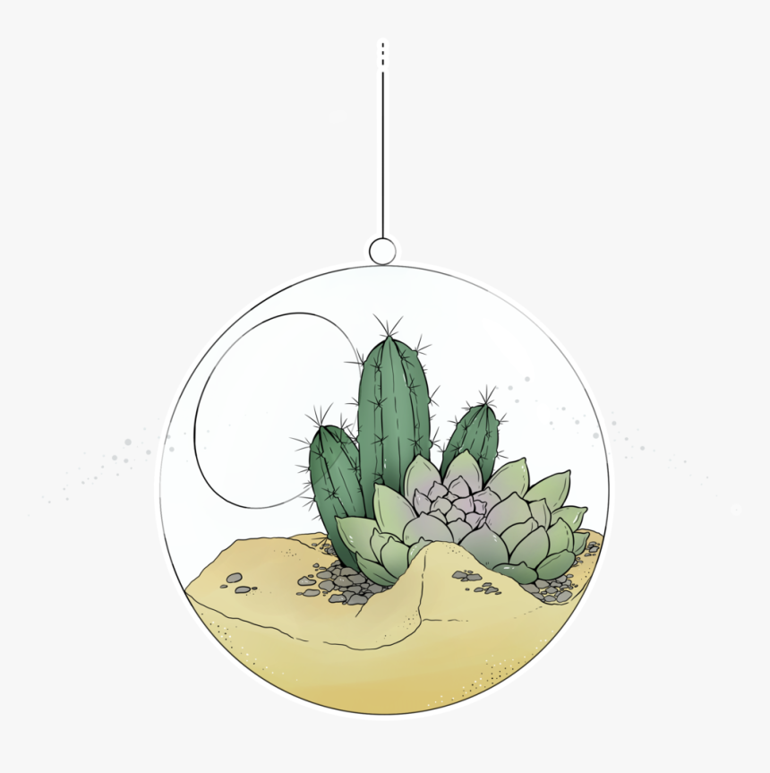 Quick Drawing Of My Cactus Kevin If He Where In A Globe, - Ceramic, HD Png Download