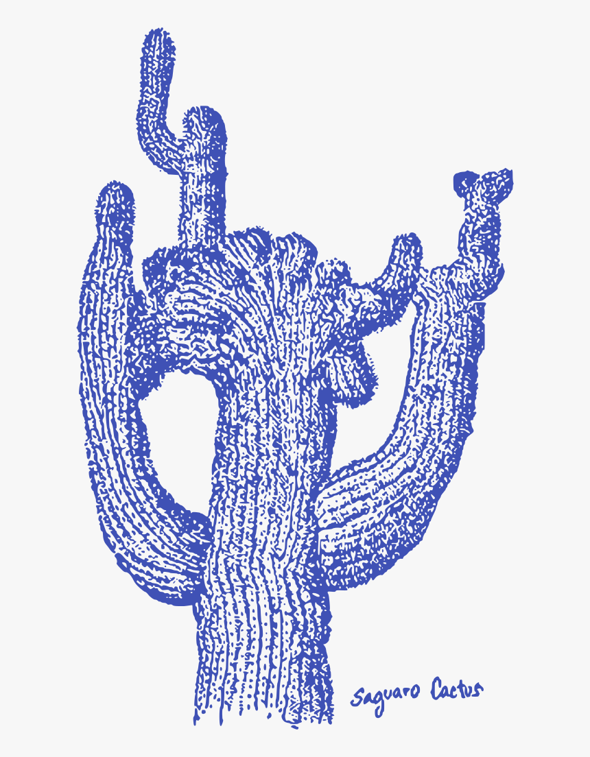 Cactus, HD Png Download