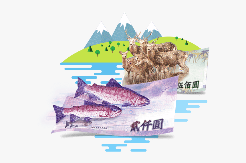Shark, HD Png Download