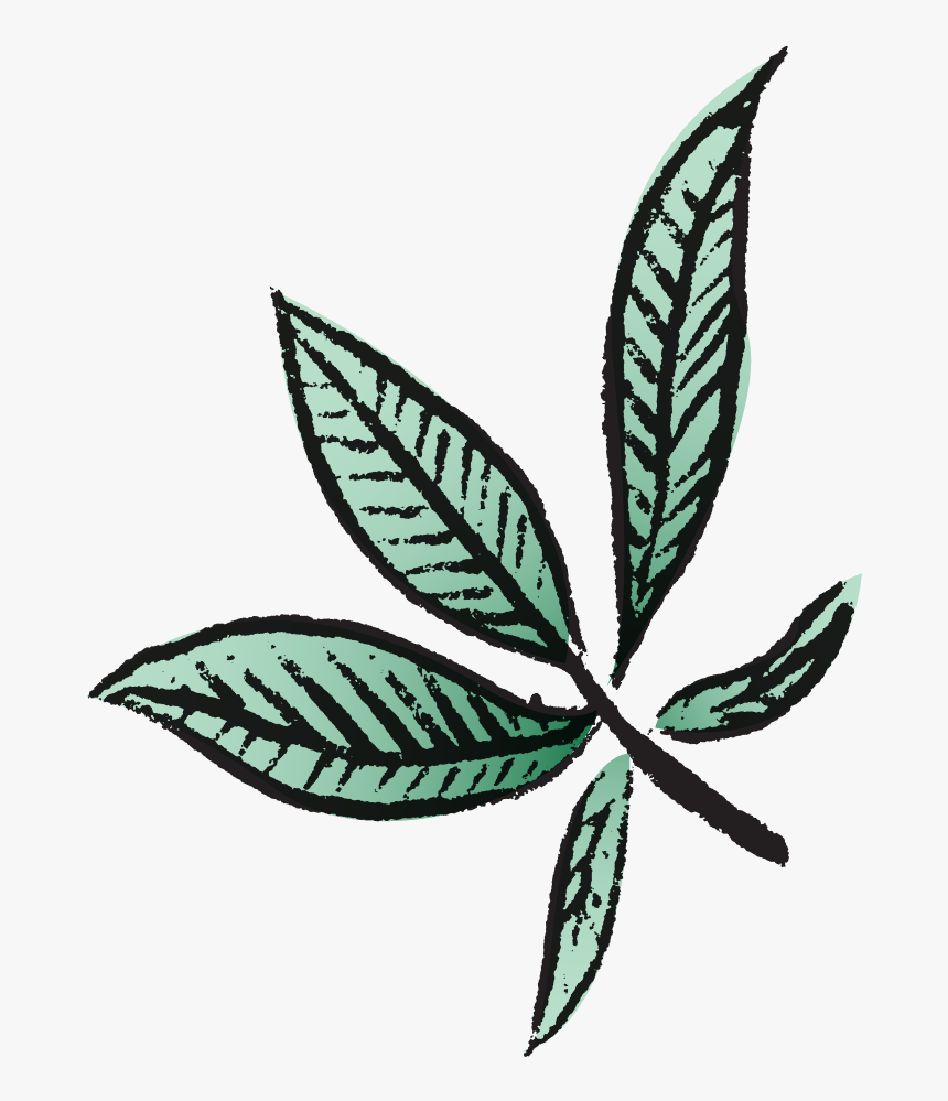 Clip Art, HD Png Download