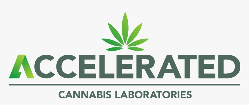 Dragon Naturally Speaking 10, HD Png Download