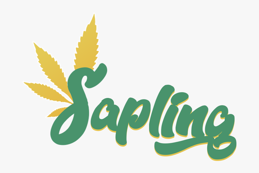 Calligraphy, HD Png Download