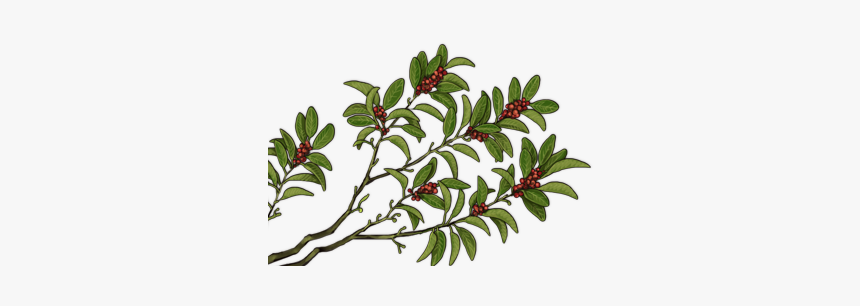 Clip Art, HD Png Download