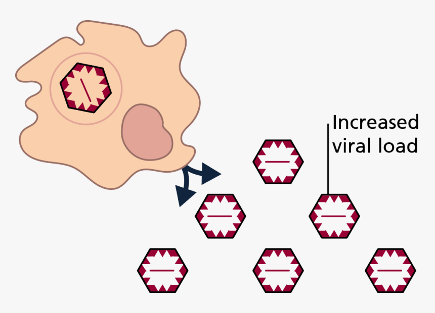 Clip Art, HD Png Download