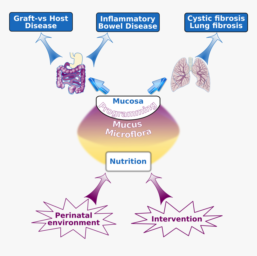 4 Fg Themes - Graphic Design, HD Png Download