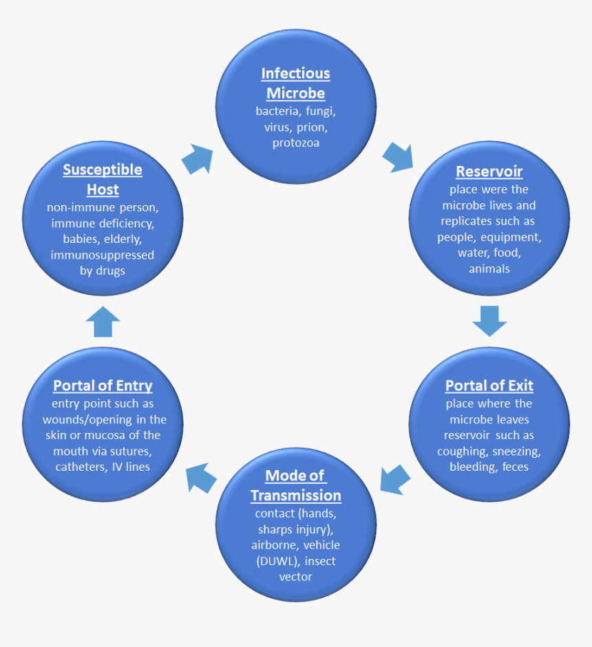 Circle, HD Png Download