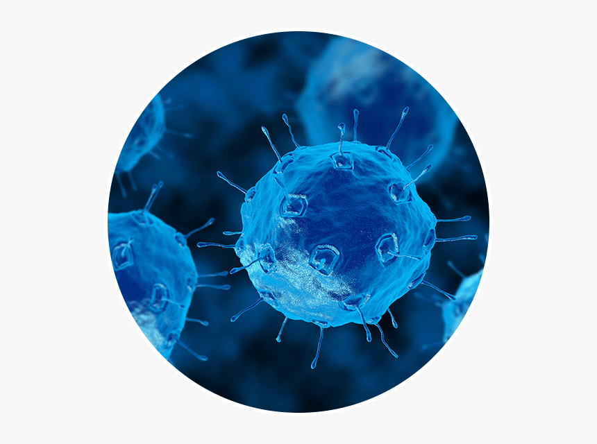 Microbes Bacteria, HD Png Download