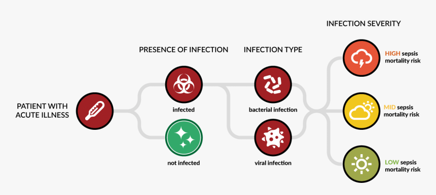 Hostdx Sepsis Diagnostic Tree - Circle, HD Png Download