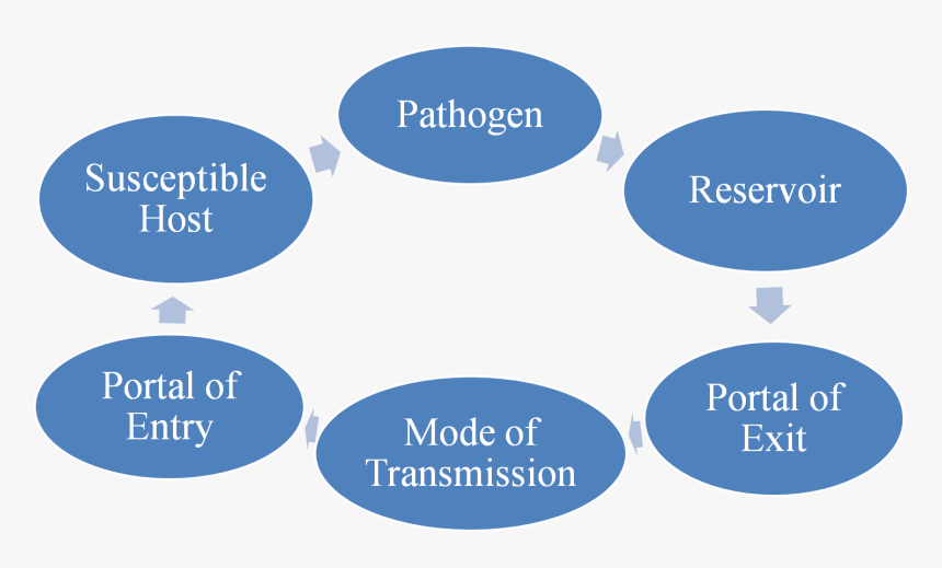 Chain Of Infection Transparent, HD Png Download