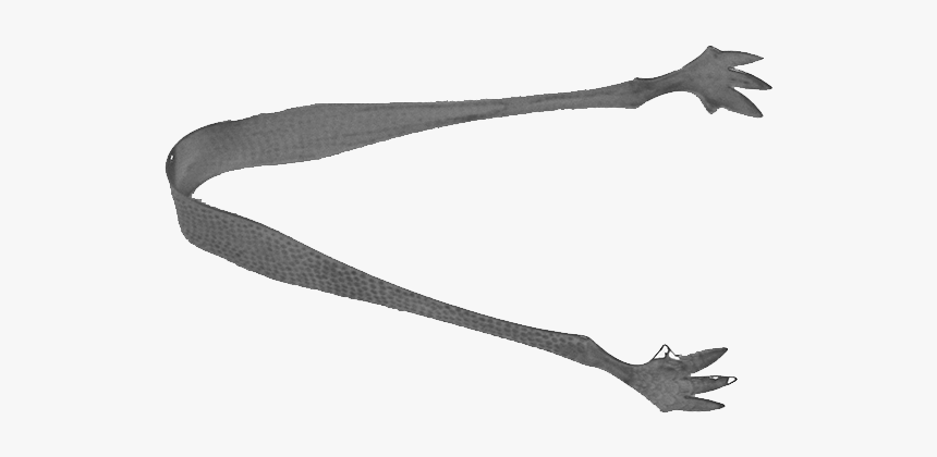 Spur, HD Png Download