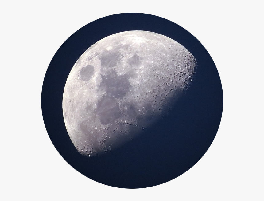 Planta De Algodón En La Luna, HD Png Download