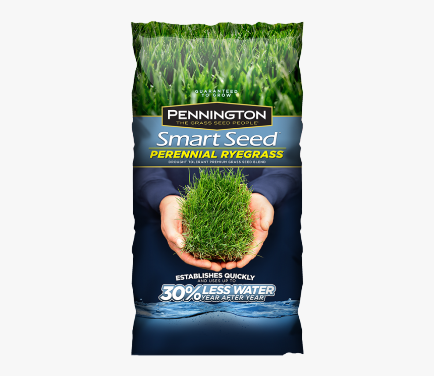 Pennington Tall Fescue Bluegrass, HD Png Download