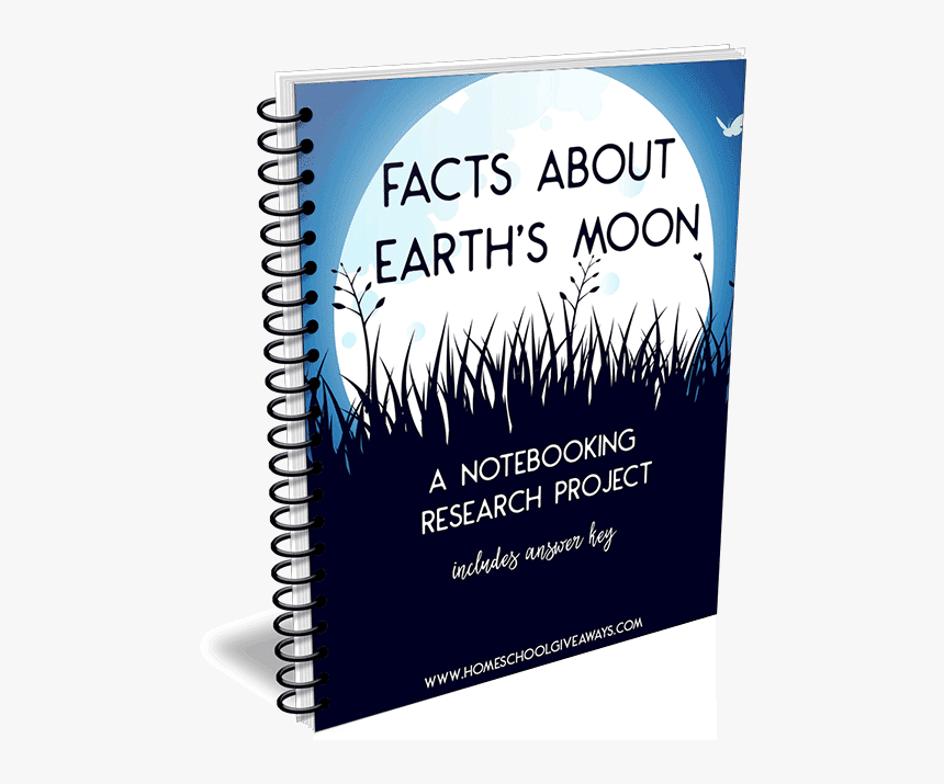 Walking Bass Guitar Book Pdf, HD Png Download