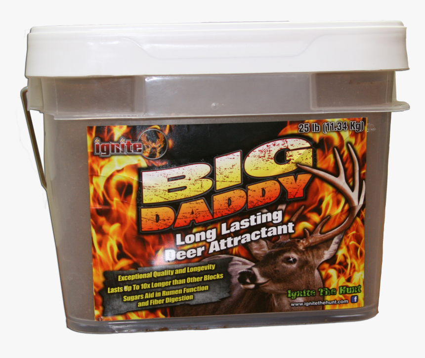 Aquarium, HD Png Download