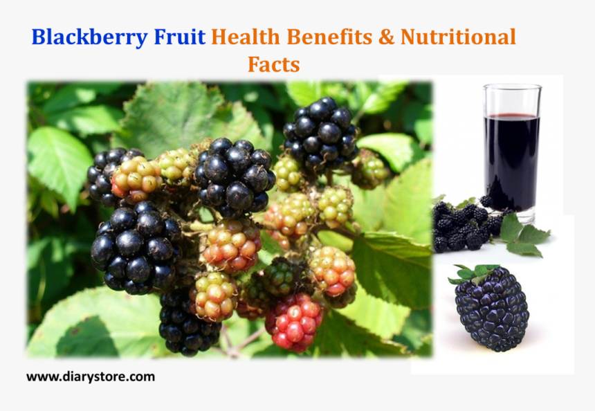 Blackberry Fruit, HD Png Download