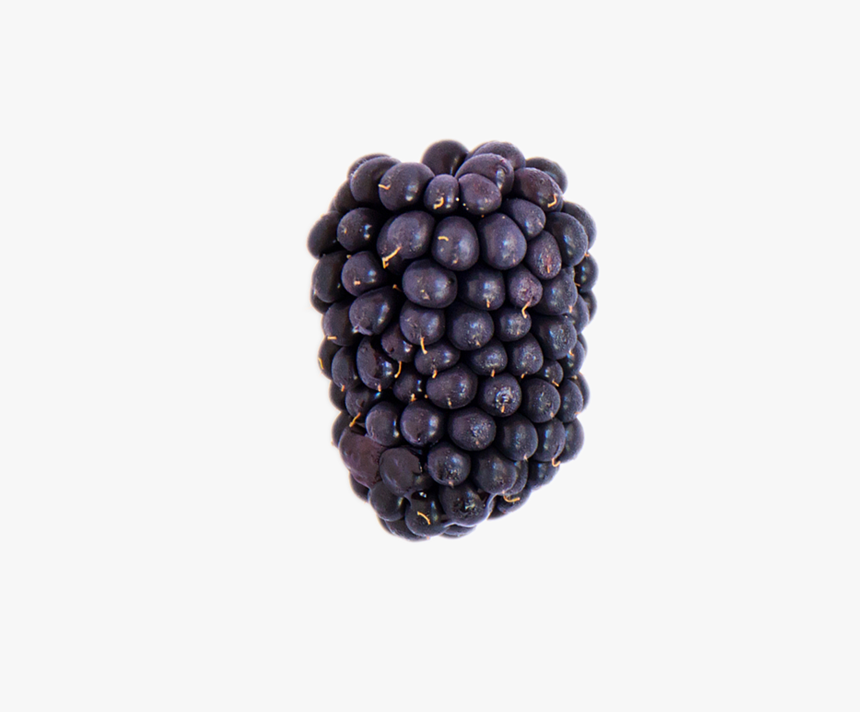 A Ripe Blackberry - Blackberry, HD Png Download
