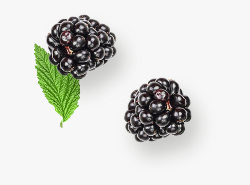 Blackberry, HD Png Download