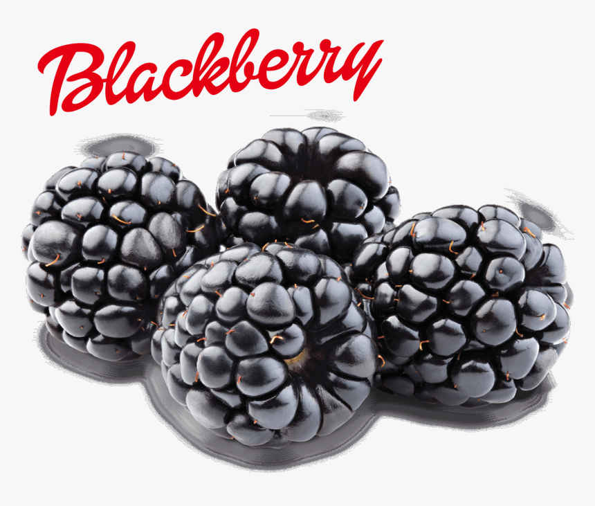 Blackberry Png Image - Transparent Blackberry Png, Png Download