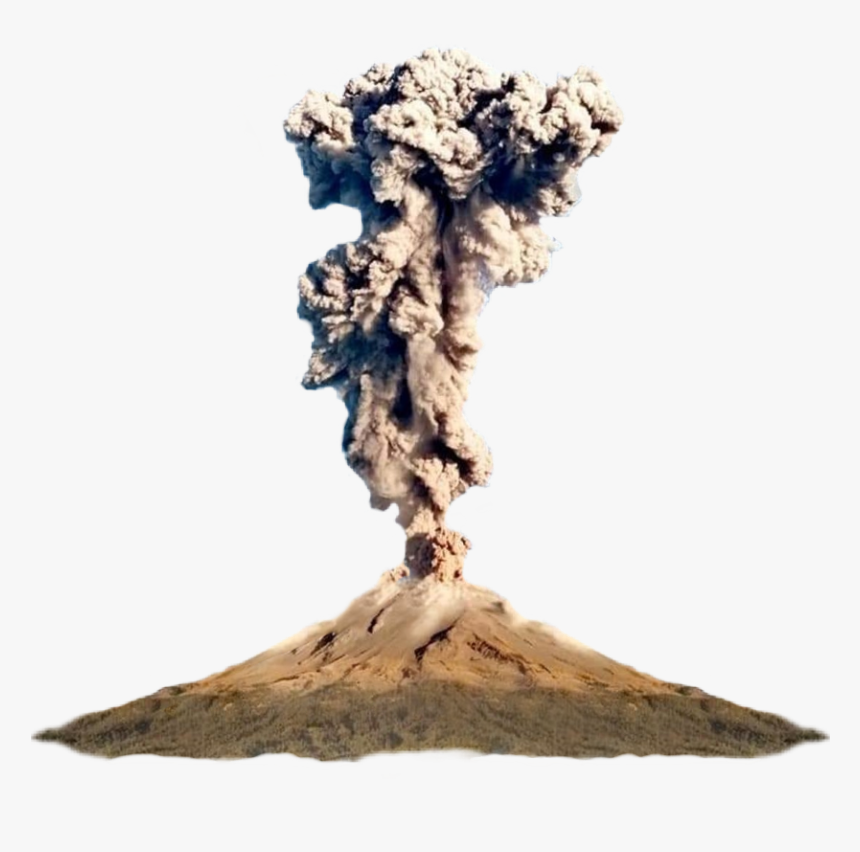 Tree, HD Png Download