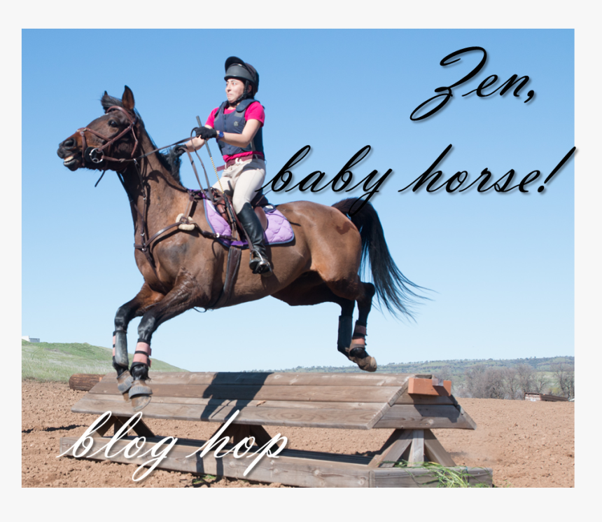 Blog Hop - Jump A Horse, HD Png Download
