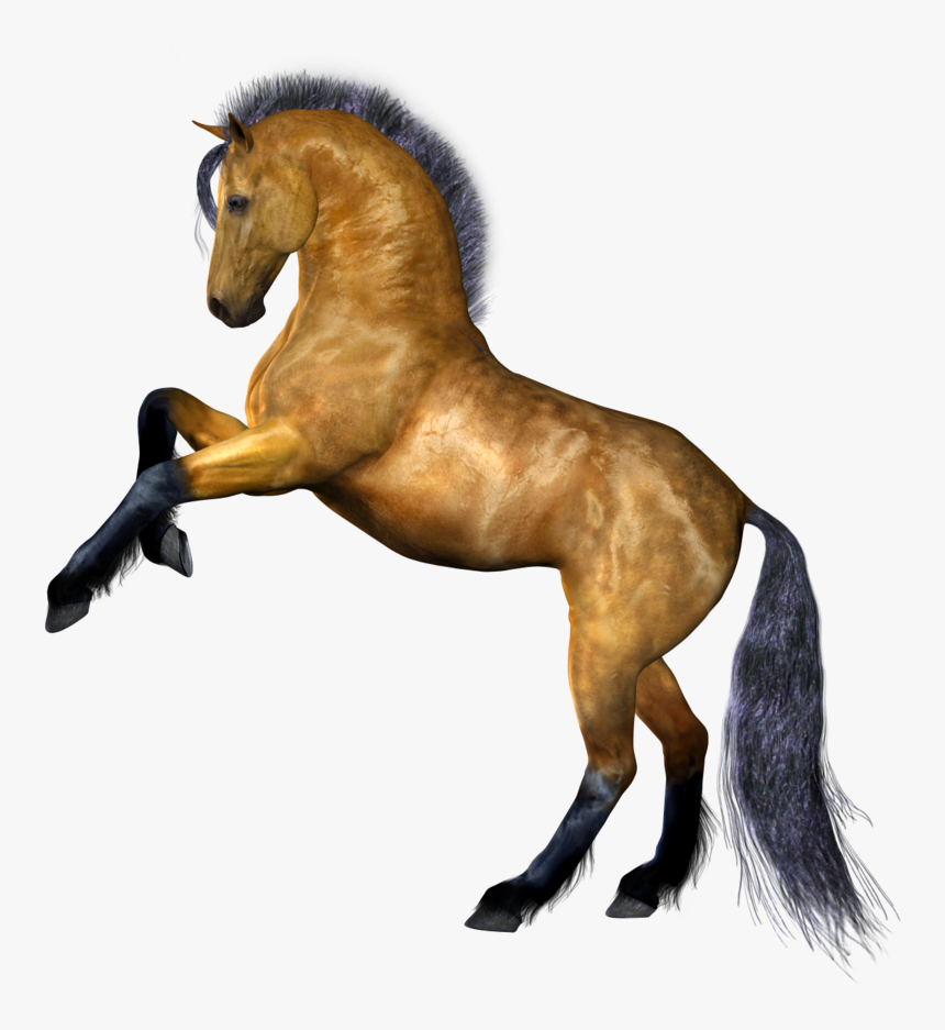 Horse Png Image, Free Download Picture, Transparent - Clear Background Horse Png, Png Download