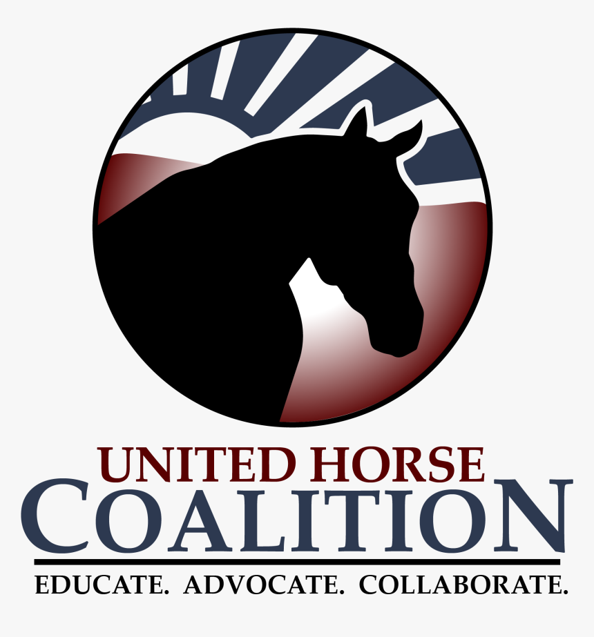 Uhcnlogo2019 - Rwb - Transparent - Poster, HD Png Download